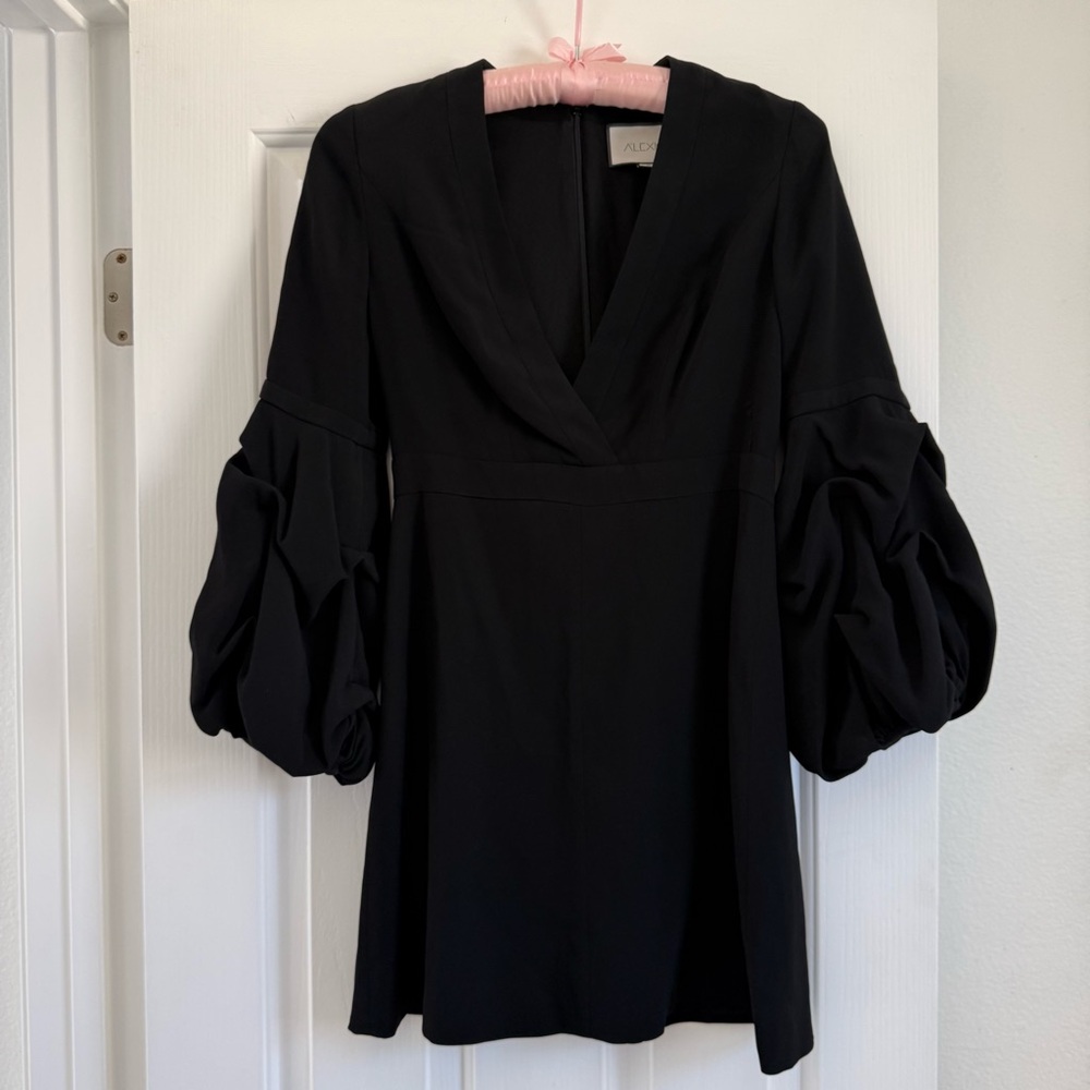 ALEXIS Statement Mini Dress Size S - Picture 4 of 13